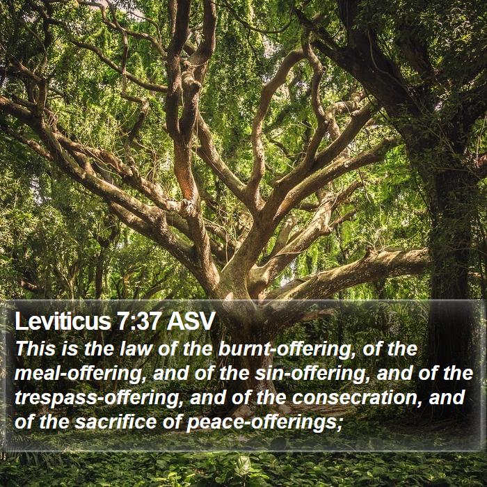 Leviticus 7:37 ASV Bible Study