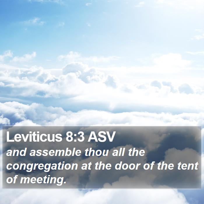 Leviticus 8:3 ASV Bible Study