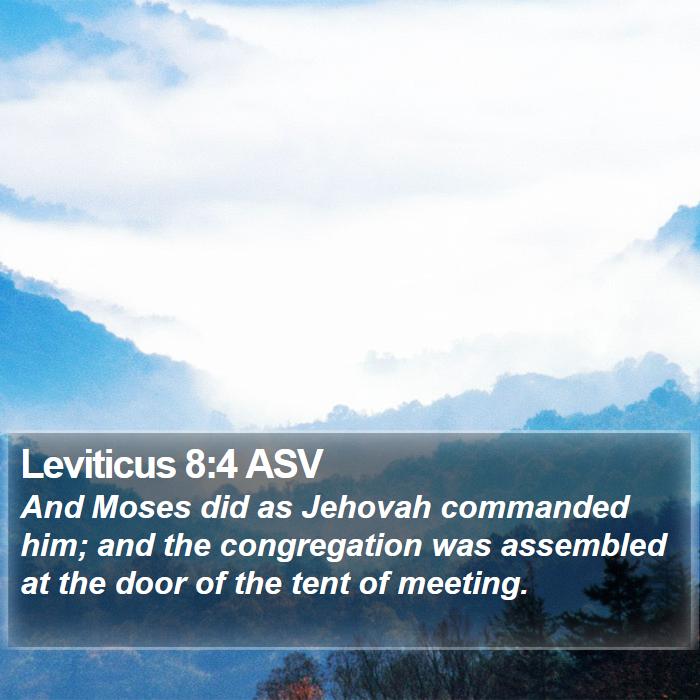 Leviticus 8:4 ASV Bible Study