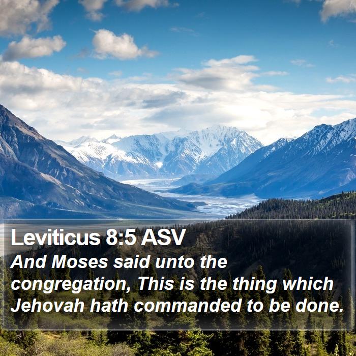 Leviticus 8:5 ASV Bible Study