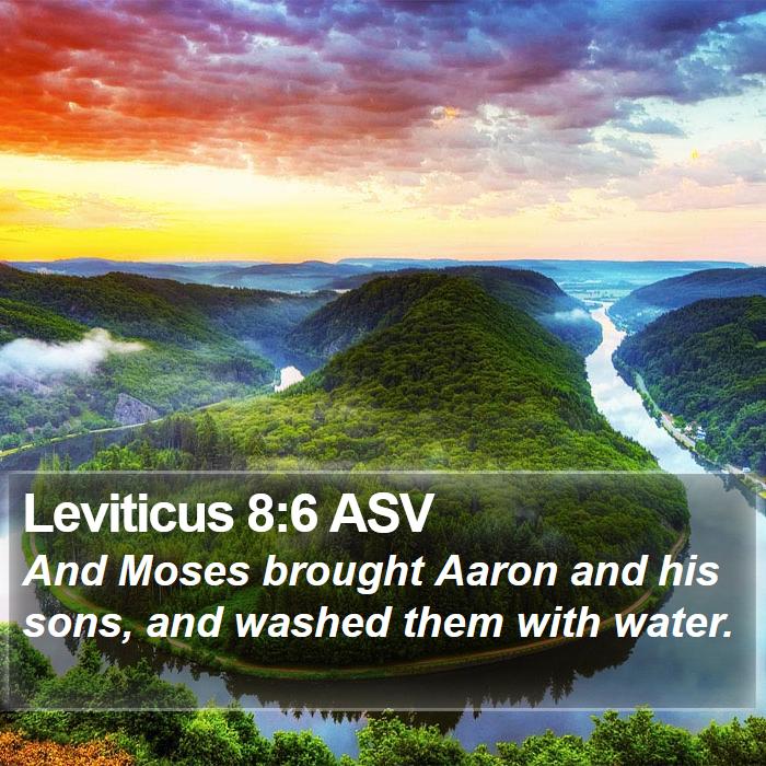 Leviticus 8:6 ASV Bible Study