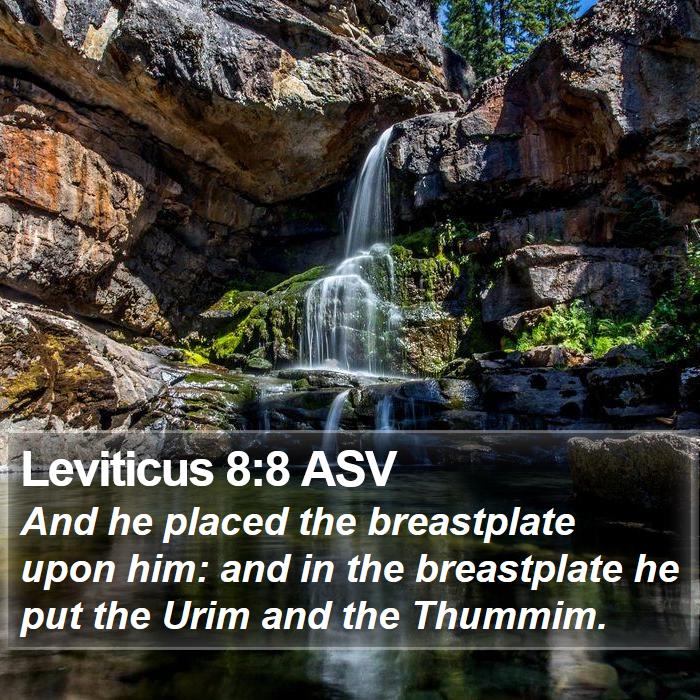 Leviticus 8:8 ASV Bible Study