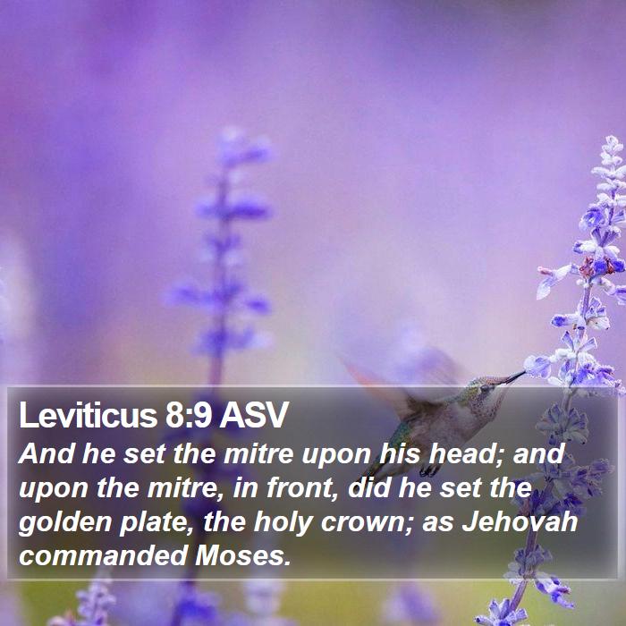 Leviticus 8:9 ASV Bible Study