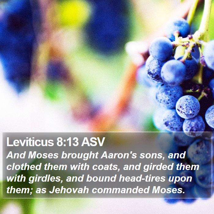 Leviticus 8:13 ASV Bible Study