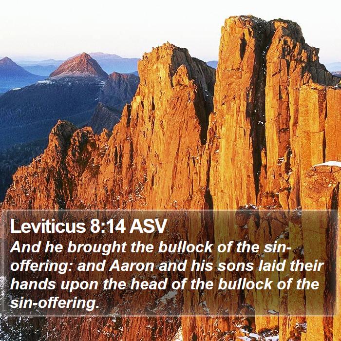 Leviticus 8:14 ASV Bible Study