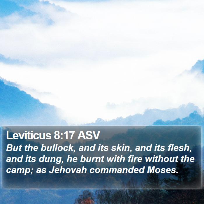 Leviticus 8:17 ASV Bible Study