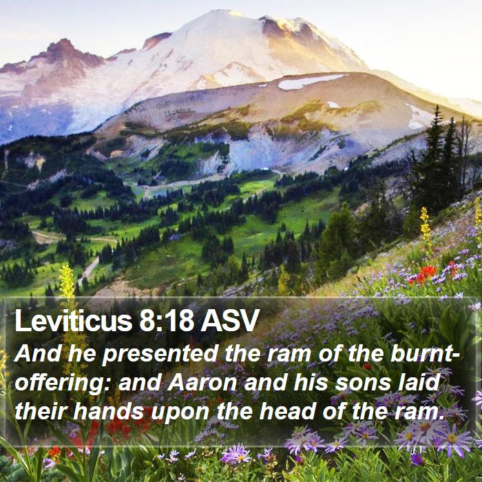 Leviticus 8:18 ASV Bible Study