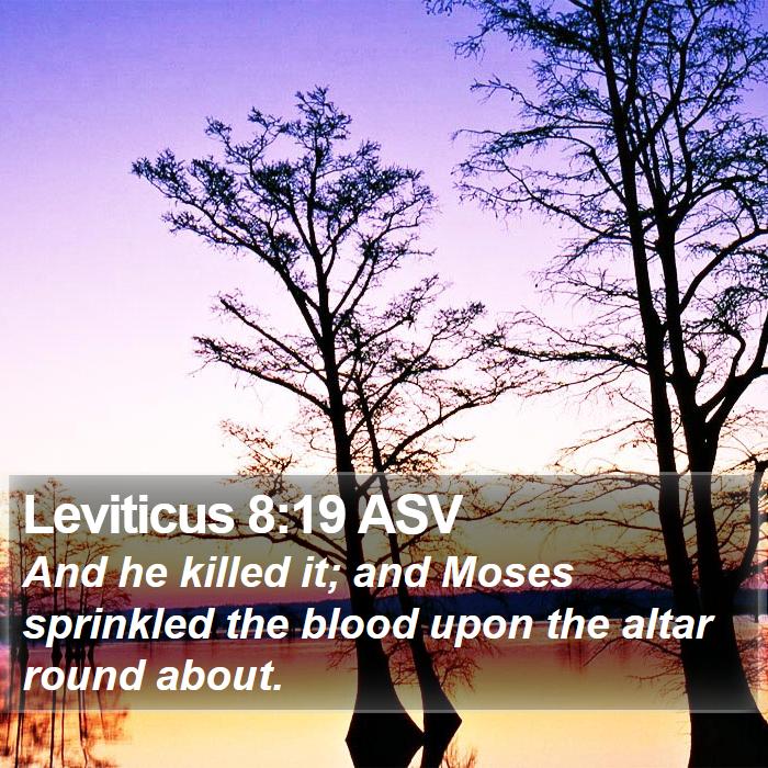 Leviticus 8:19 ASV Bible Study