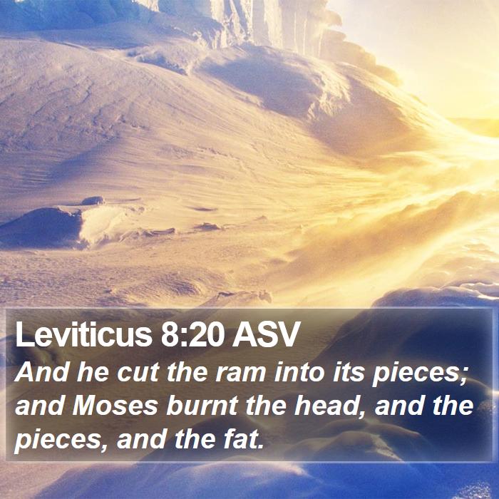 Leviticus 8:20 ASV Bible Study