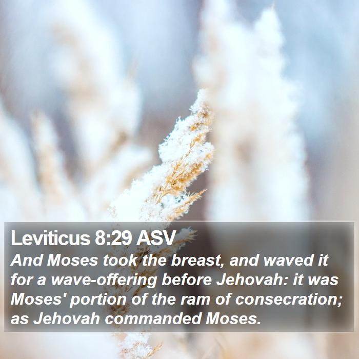 Leviticus 8:29 ASV Bible Study