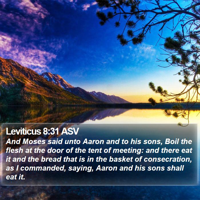 Leviticus 8:31 ASV Bible Study