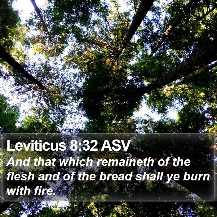 Leviticus 8:32 ASV Bible Study