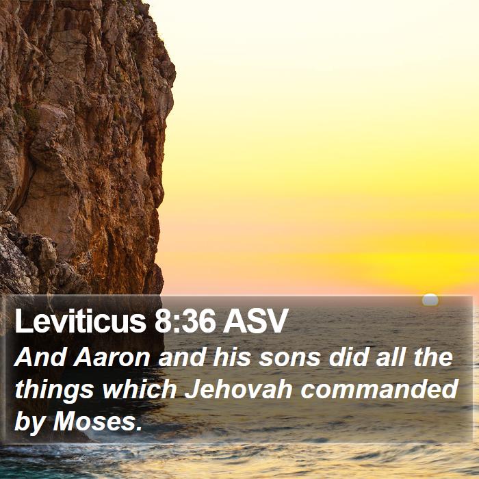 Leviticus 8:36 ASV Bible Study