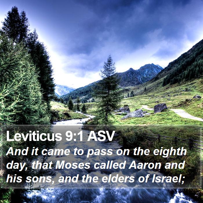 Leviticus 9:1 ASV Bible Study