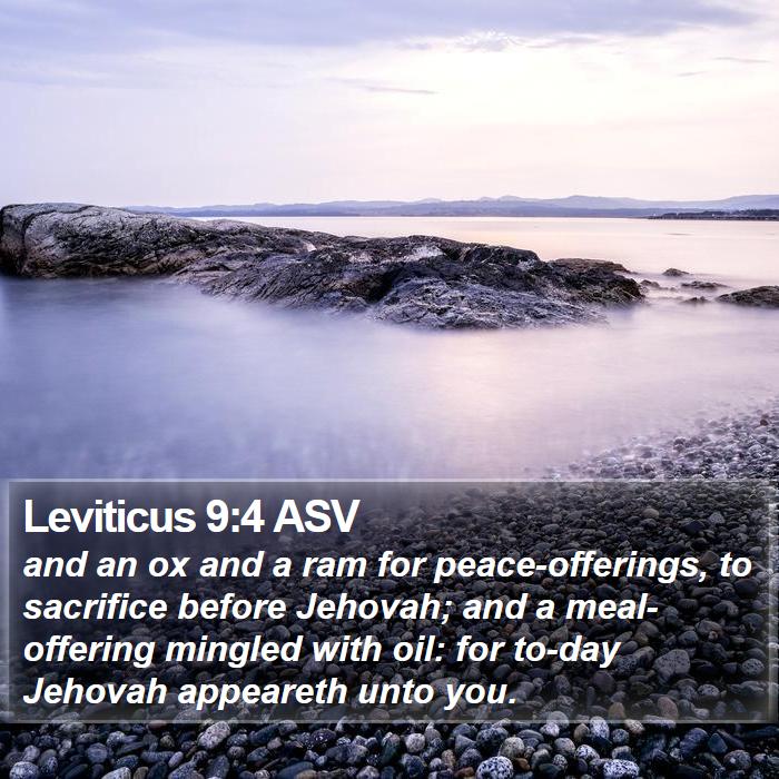 Leviticus 9:4 ASV Bible Study