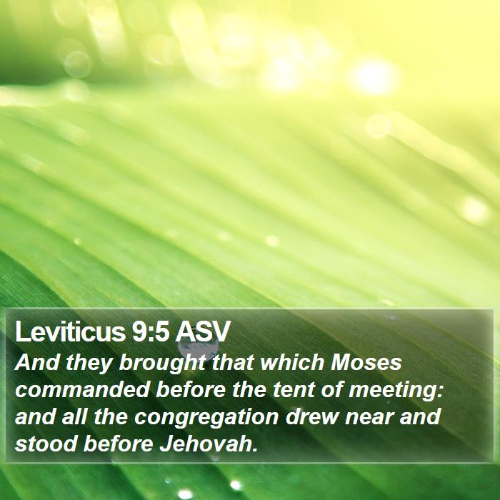 Leviticus 9:5 ASV Bible Study