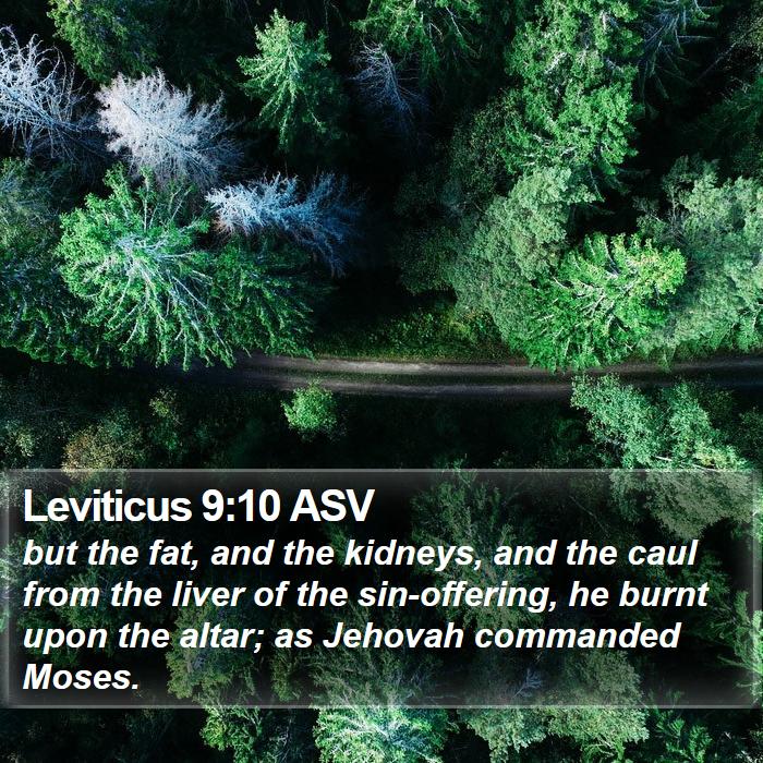 Leviticus 9:10 ASV Bible Study