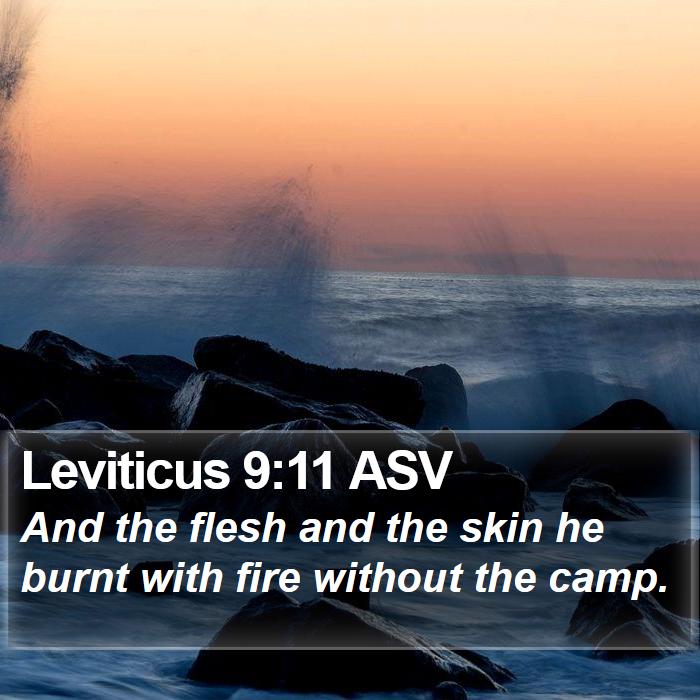 Leviticus 9:11 ASV Bible Study