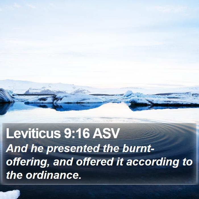 Leviticus 9:16 ASV Bible Study