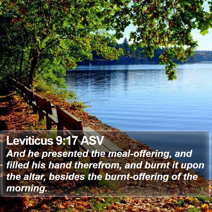 Leviticus 9:17 ASV Bible Study