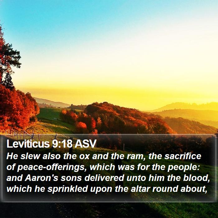 Leviticus 9:18 ASV Bible Study