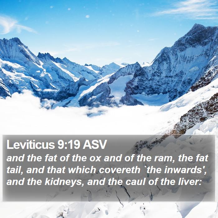 Leviticus 9:19 ASV Bible Study