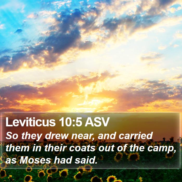 Leviticus 10:5 ASV Bible Study