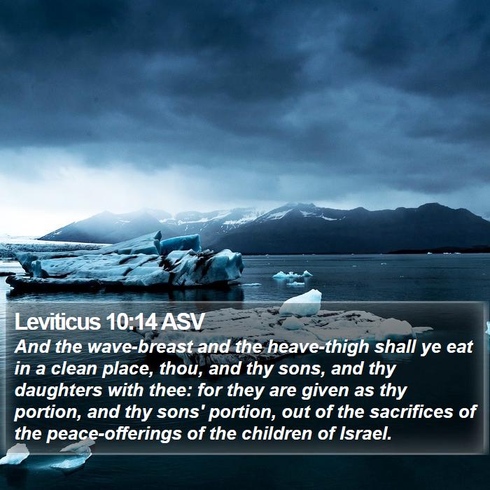 Leviticus 10:14 ASV Bible Study