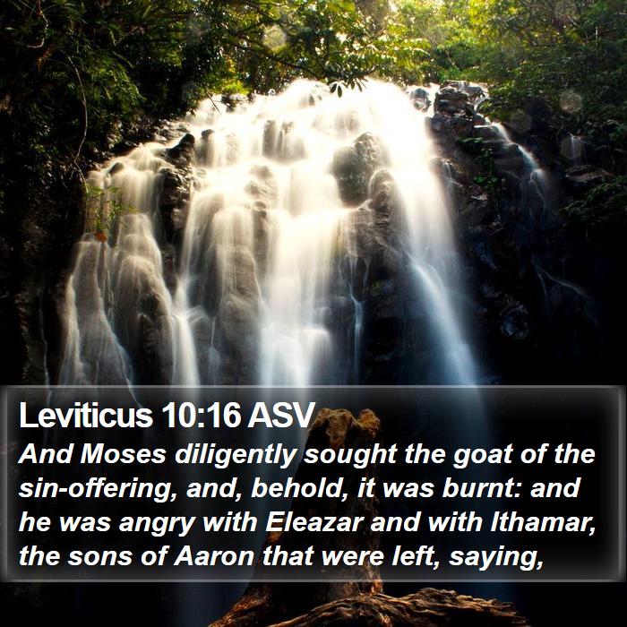 Leviticus 10:16 ASV Bible Study