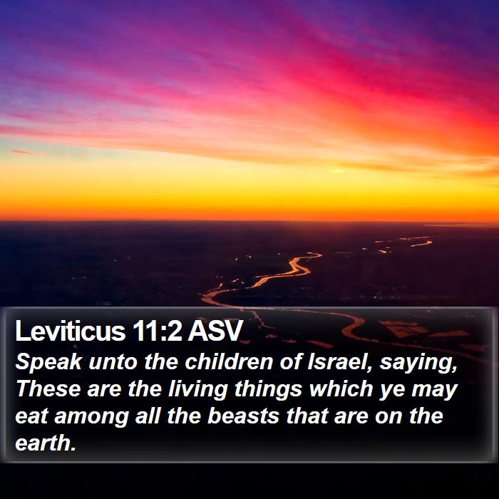 Leviticus 11:2 ASV Bible Study