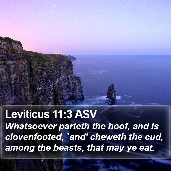 Leviticus 11:3 ASV Bible Study