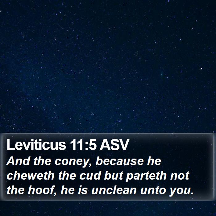 Leviticus 11:5 ASV Bible Study