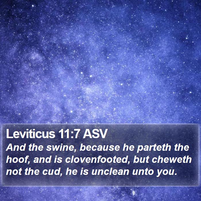 Leviticus 11:7 ASV Bible Study