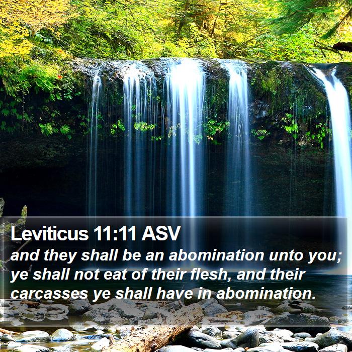 Leviticus 11:11 ASV Bible Study