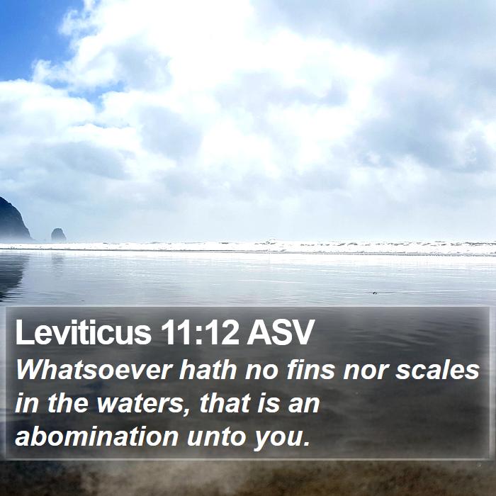 Leviticus 11:12 ASV Bible Study