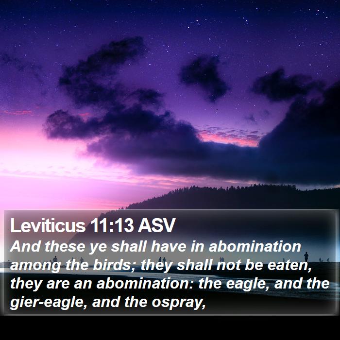 Leviticus 11:13 ASV Bible Study