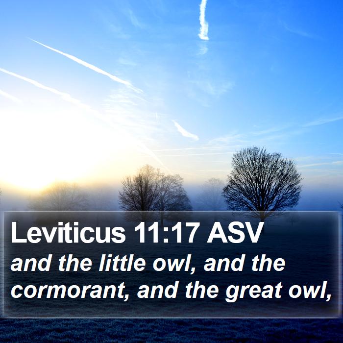 Leviticus 11:17 ASV Bible Study