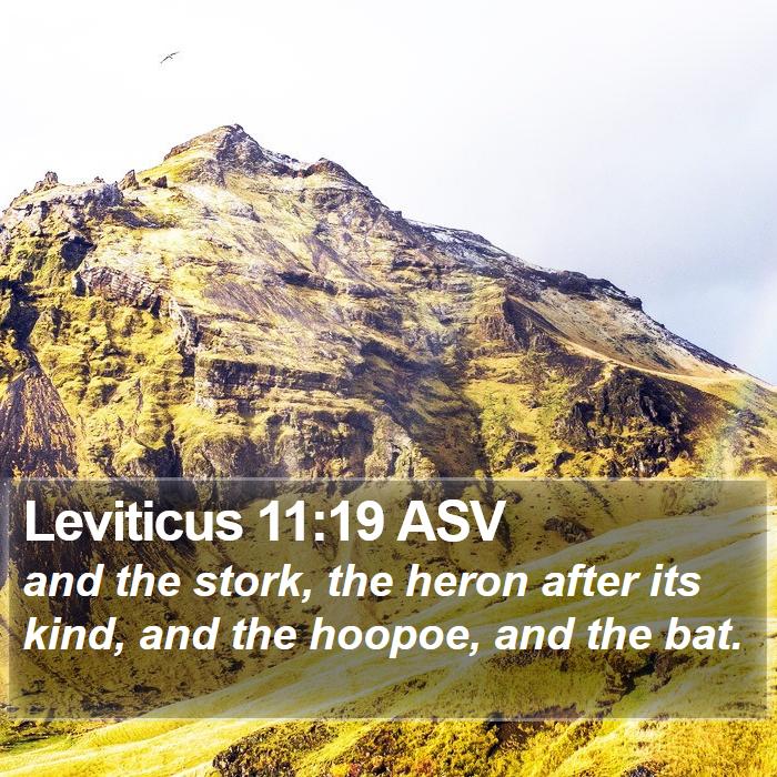 Leviticus 11:19 ASV Bible Study