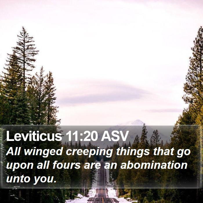 Leviticus 11:20 ASV Bible Study