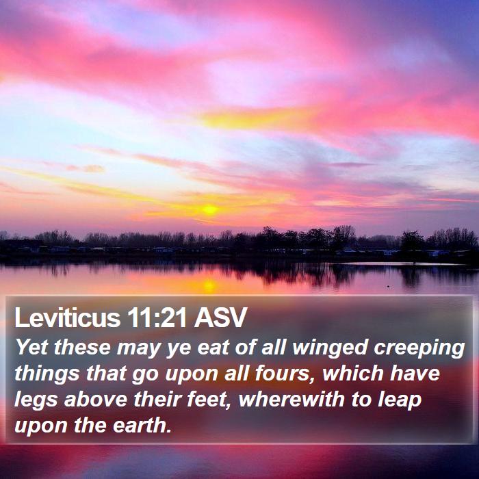 Leviticus 11:21 ASV Bible Study