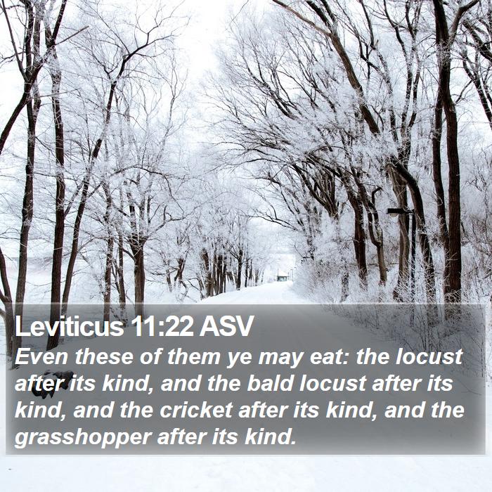 Leviticus 11:22 ASV Bible Study