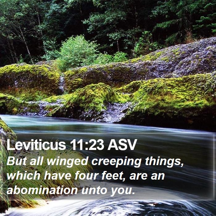 Leviticus 11:23 ASV Bible Study