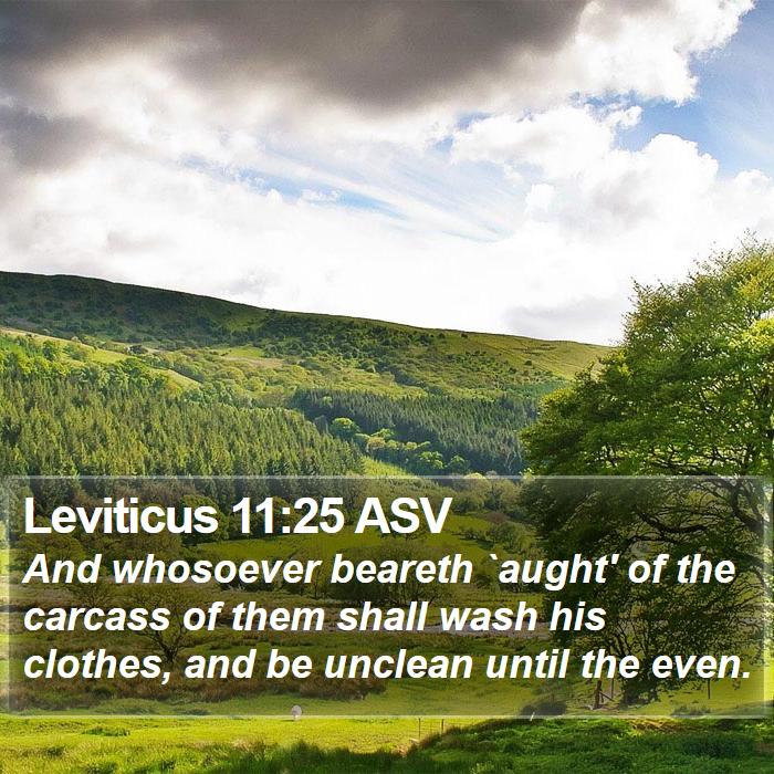 Leviticus 11:25 ASV Bible Study