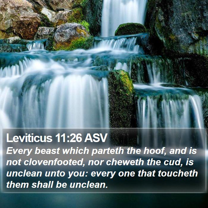 Leviticus 11:26 ASV Bible Study