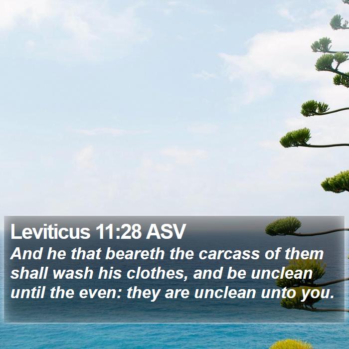 Leviticus 11:28 ASV Bible Study