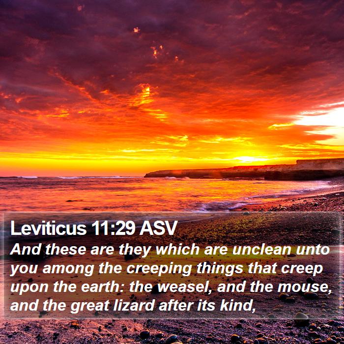 Leviticus 11:29 ASV Bible Study