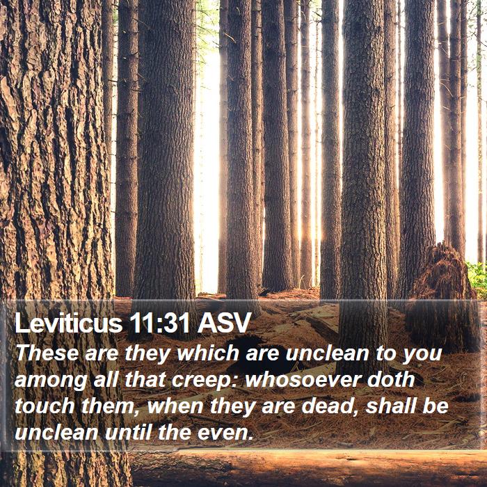 Leviticus 11:31 ASV Bible Study