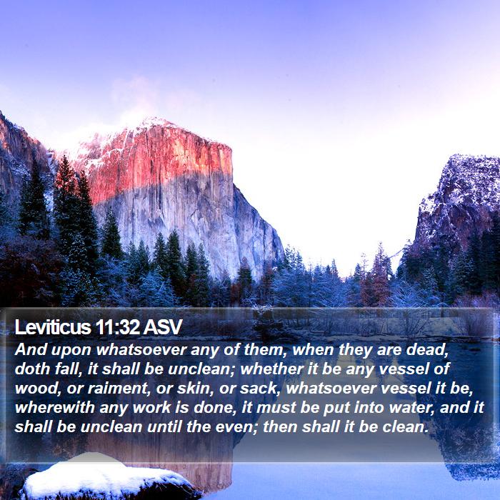 Leviticus 11:32 ASV Bible Study