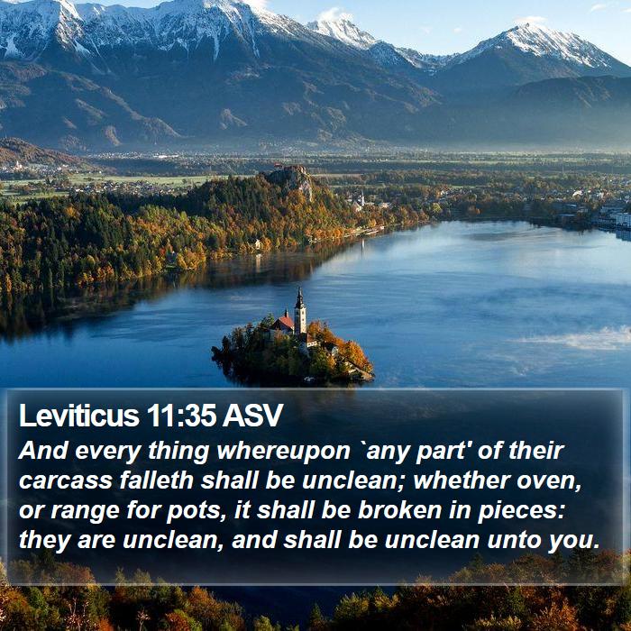 Leviticus 11:35 ASV Bible Study