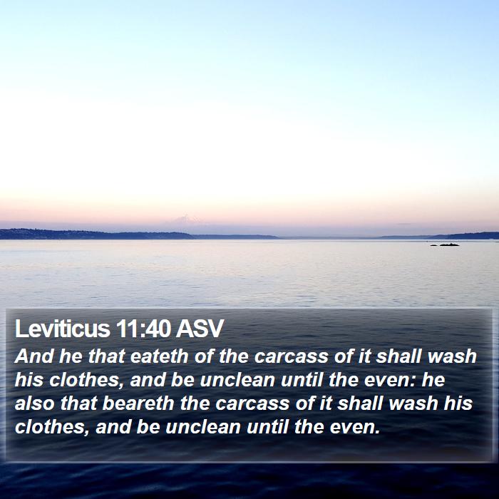 Leviticus 11:40 ASV Bible Study